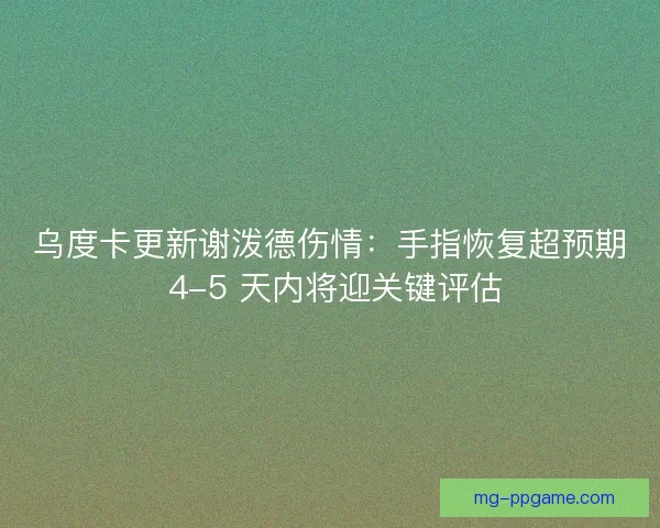 乌度卡更新谢泼德伤情：手指恢复超预期 4-5 天内将迎关键评估